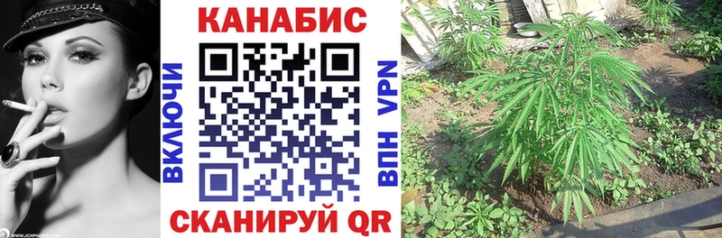 Канабис SATIVA & INDICA  нарко площадка как зайти  Константиновск  купить наркотики цена 